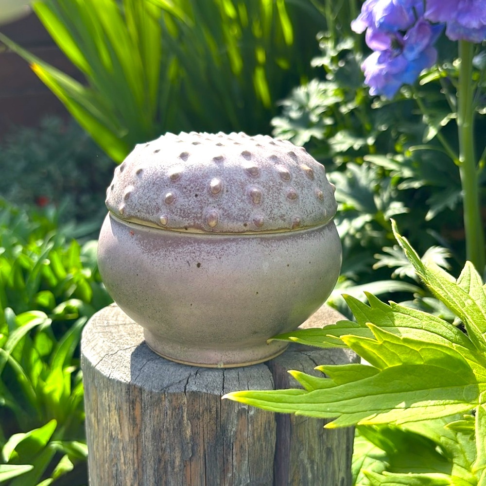 Artisan Signed Ceramic Sea Urchin Lidded Box
